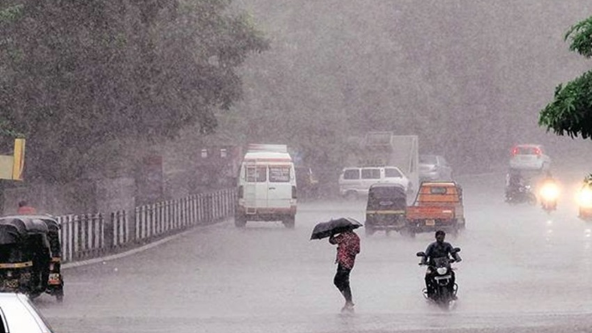 MP Weather News: heavy rain alert