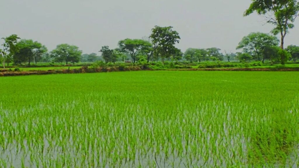 Indore Property: 5 fastest growing colonies of Indore