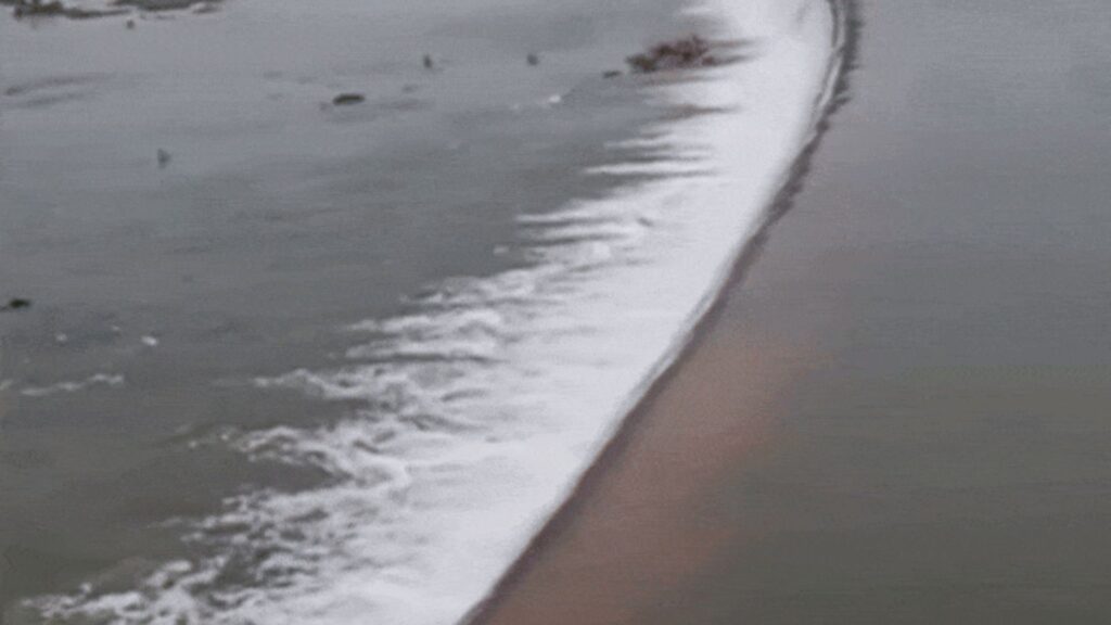 Best Indore NewsShivpuri's Harsi dam overflows: