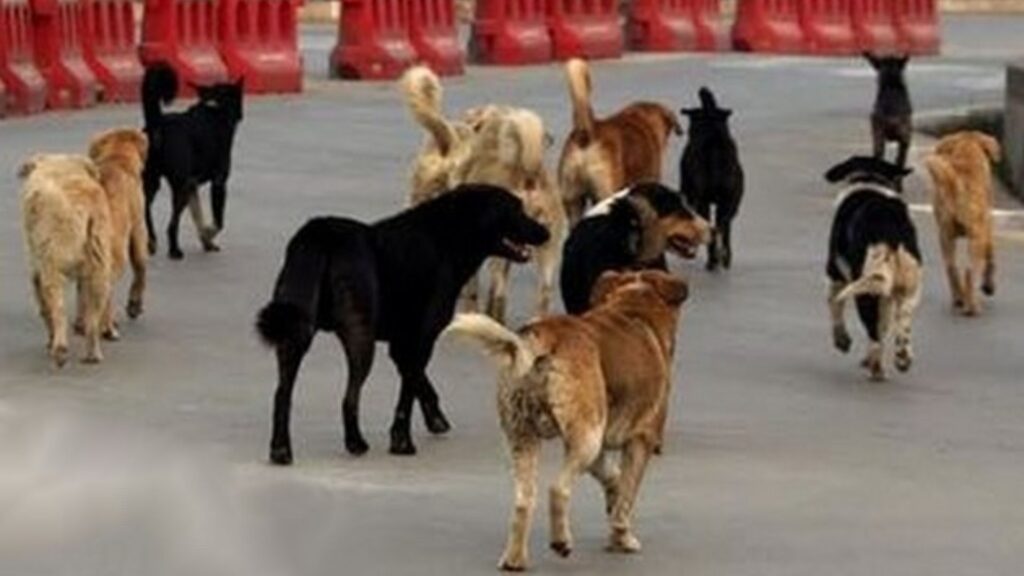 Best Indore NewsIn Indore, a college student was knocked