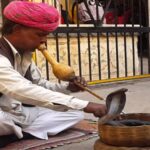 Best Indore News The declining identity and livelihood of snake charmers on Nag Panchami
