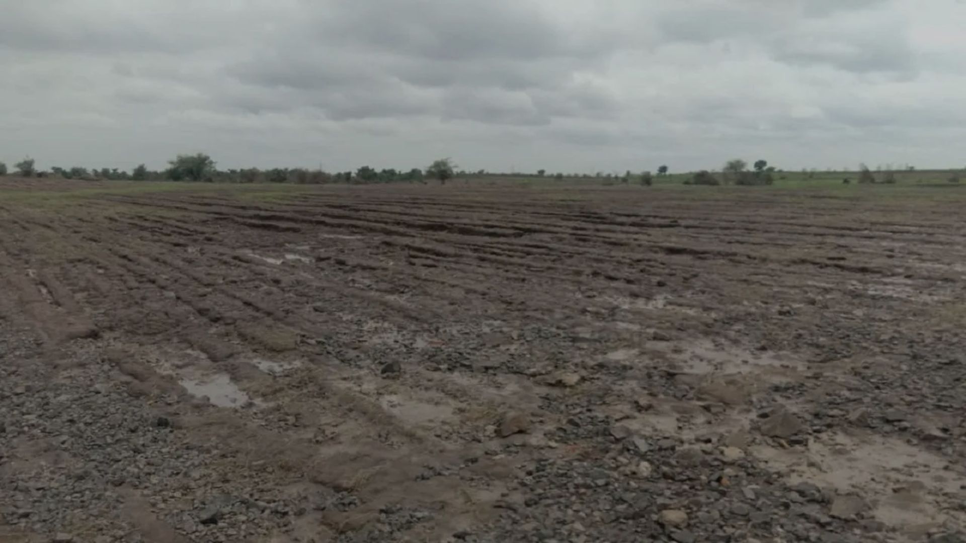 Indore Property:buy land in indore teen imli